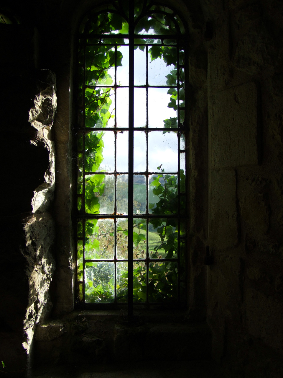 morguefile image of window looking out on to countryside for a post about home and travel