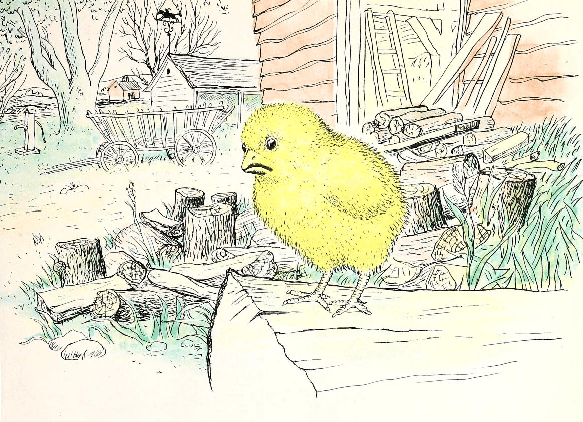 drawing of a chick from out of copyright childrens book about chickens