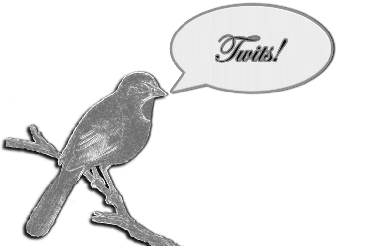 bird saying "twit!"