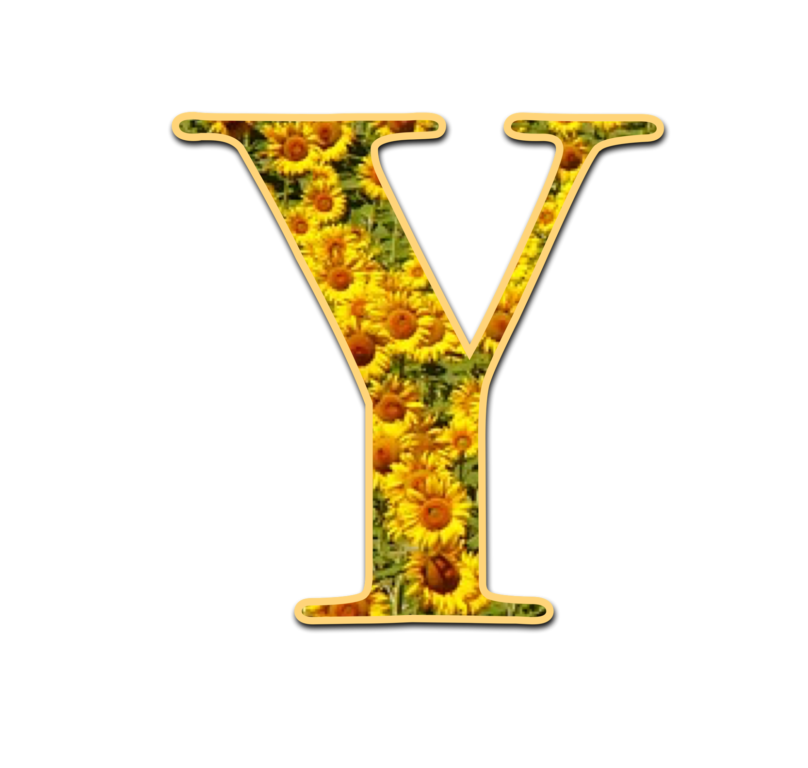 Y made from yellow field flowers