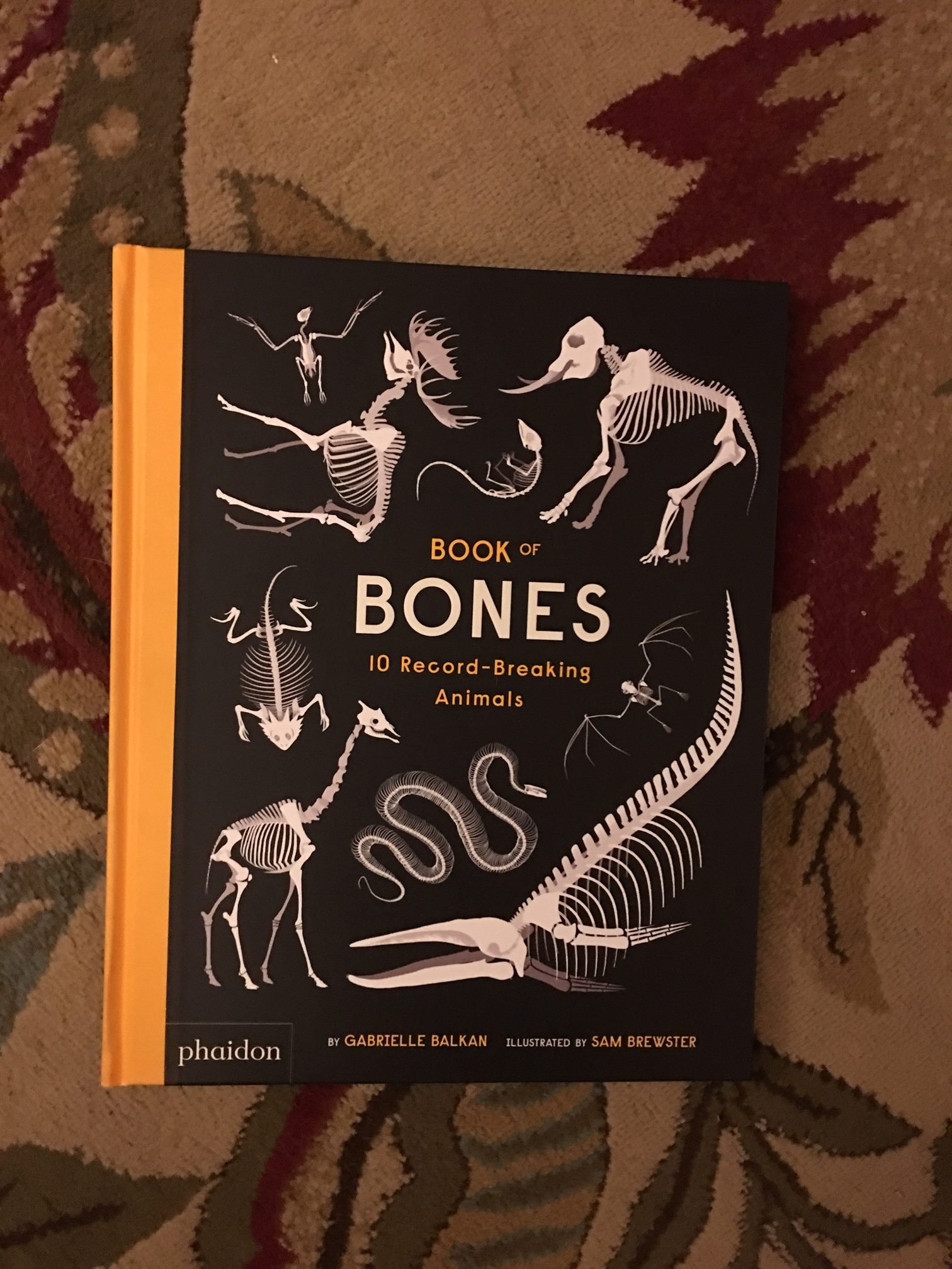 Book of bones by Gabrielle Balkan.