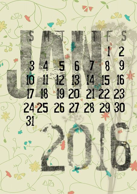 calendar of the month of January 2016. floral and grunge