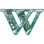 The letter W made from public domain, out-of-copyright "The Language of Flowers for The Women's Legacy Project, Legacy Tools, for the 2016 A to Z Blogging Challenge