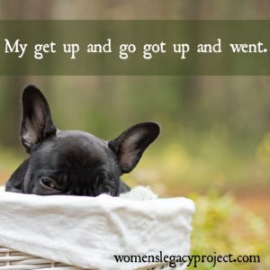 Puppy in basket. French Bulldog. "Get up and go got up and went."