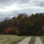 I have discovered being parentless and a sole surviving sibling is that life seems different when you are the only one who remembers family events and stories.